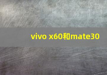 vivo x60和mate30